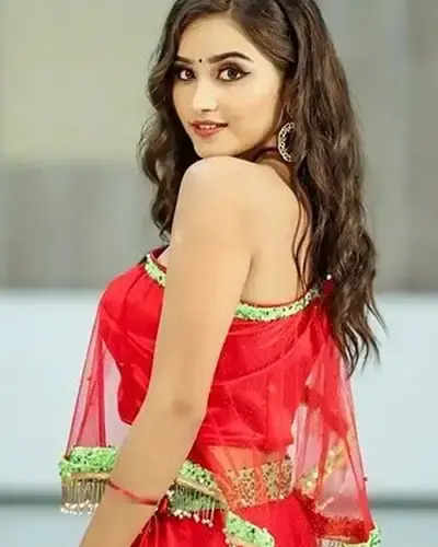 Escort In Anand Lok